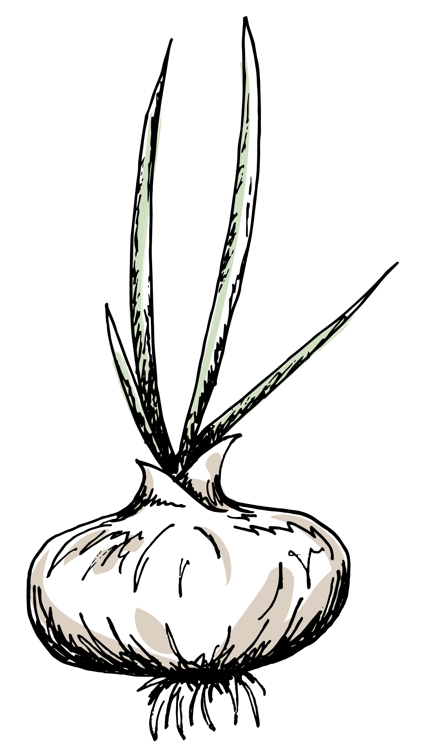 Vidalia Onion Festival April 2225, 2021