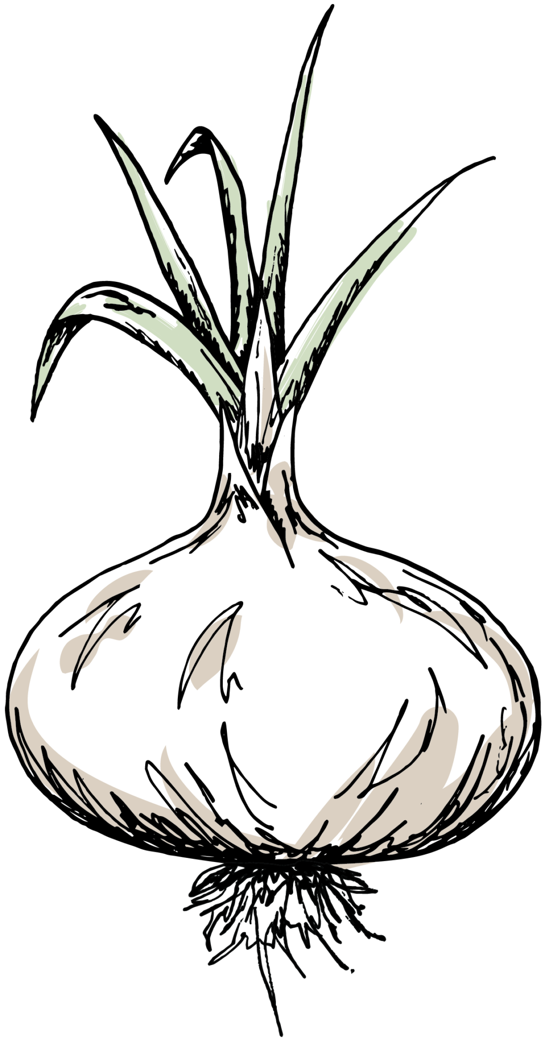 Concert Vidalia Onion Festival